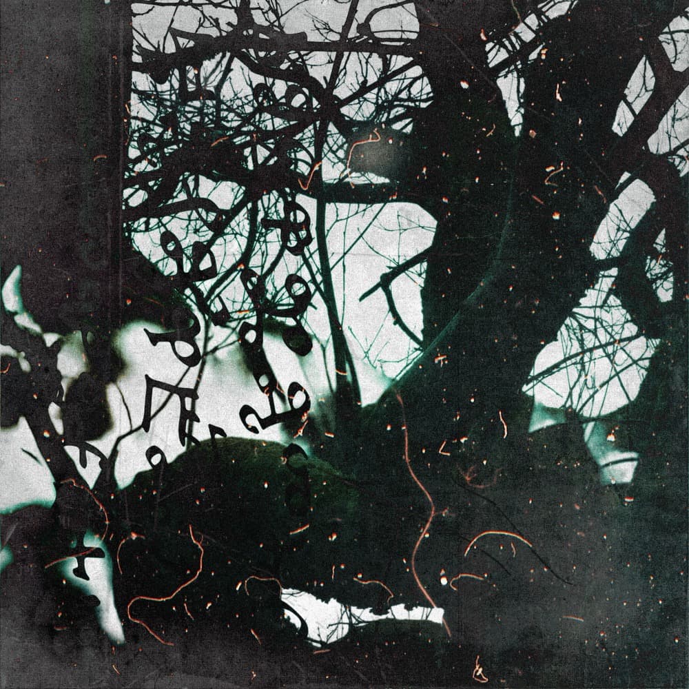 Layered Trees